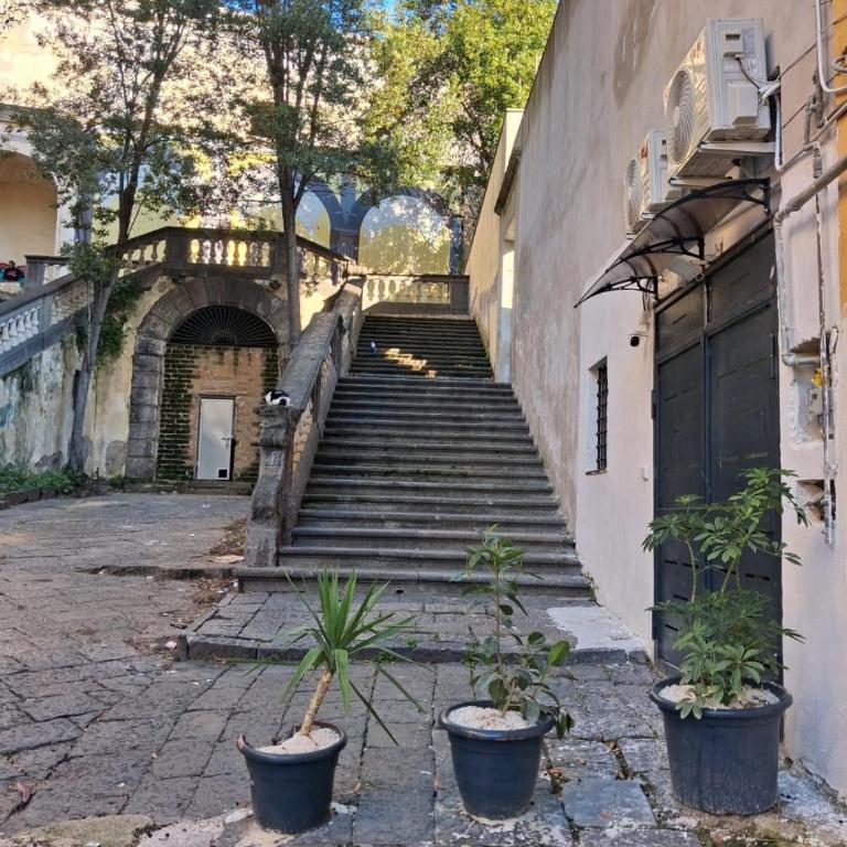 Re Ladislao Apartment - Appartamento con 2 Camere da Letto - 22