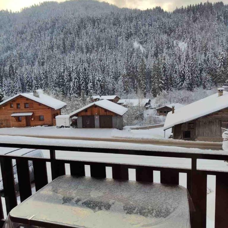 Appart 2 étoiles à l'entrée du Grand Bornand - Apartamento de 2 dormitorios - 6