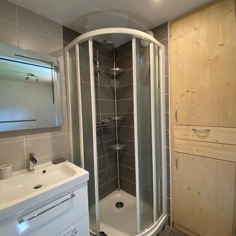Appart 2 étoiles à l'entrée du Grand Bornand - Apartamento de 2 dormitorios - 12