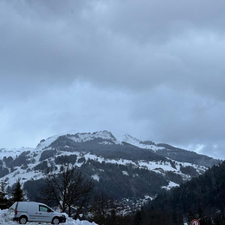 Appart 2 étoiles à l'entrée du Grand Bornand - Apartamento de 2 dormitorios - 15