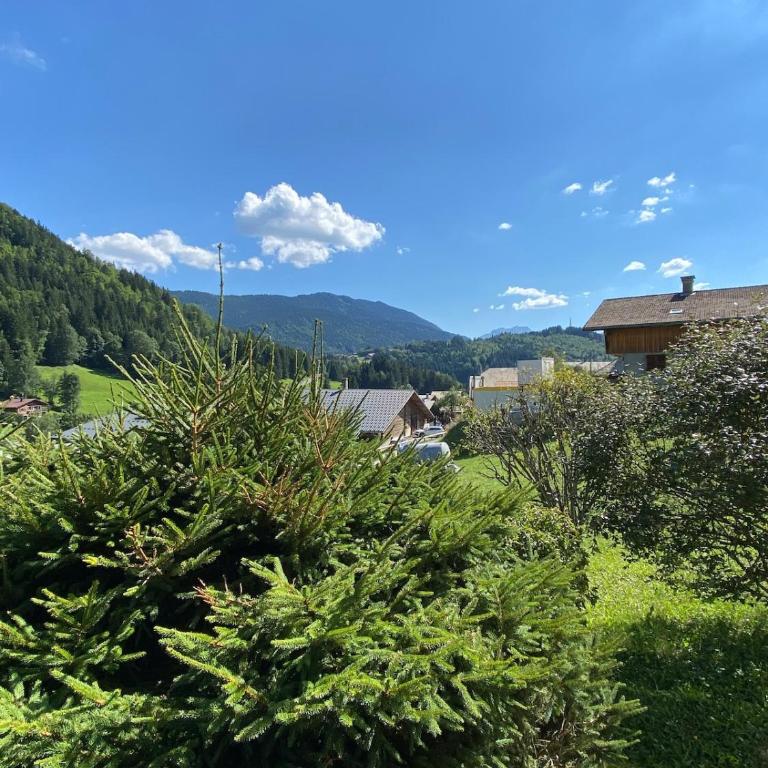 Appart 2 étoiles à l'entrée du Grand Bornand - Apartamento de 2 dormitorios - 14