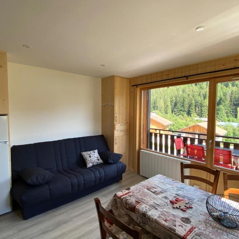 Appart 2 étoiles à l'entrée du Grand Bornand - Apartamento de 2 dormitorios - 4