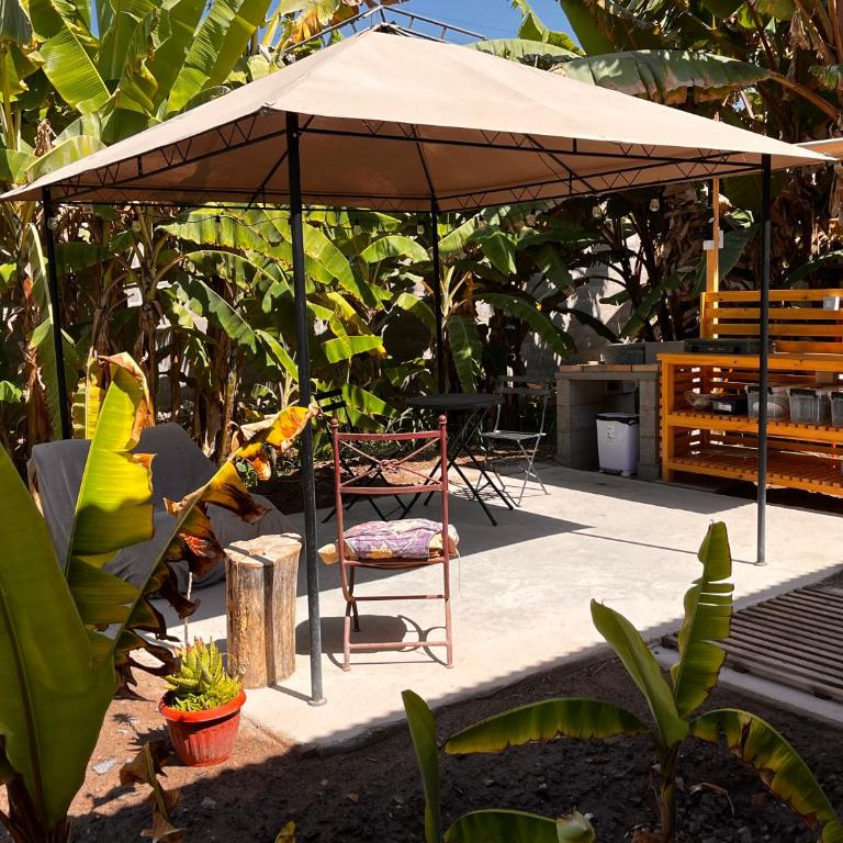 Cabaña Yan-Yan, refugio natural en valle de Azapa - Arica - Two-Bedroom Bungalow - 8