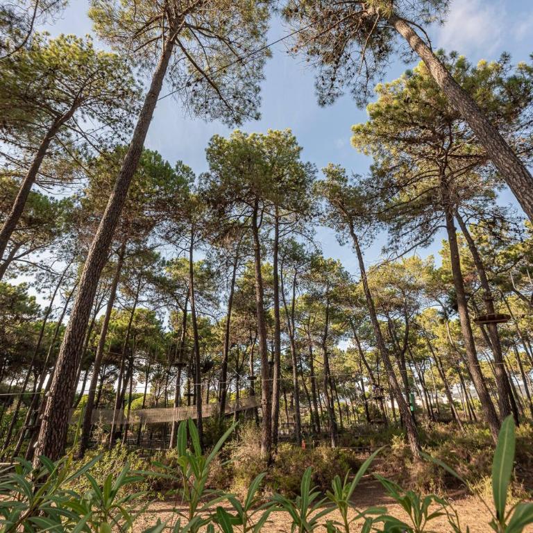 Beautiful Apartment Just 5 Minutes From the BEACH - Two-Bedroom Apartment - 44