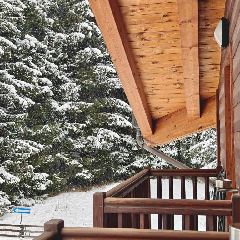 Hotel L' Aiglon - Camera Matrimoniale/Doppia con Letti Singoli - 11