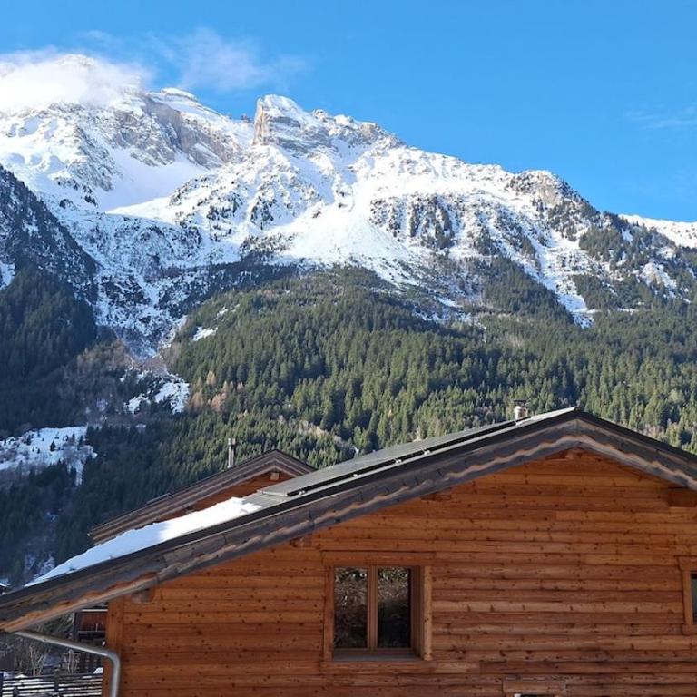Appartement 4 personnes proche des pistes de ski - One-Bedroom Apartment - 9