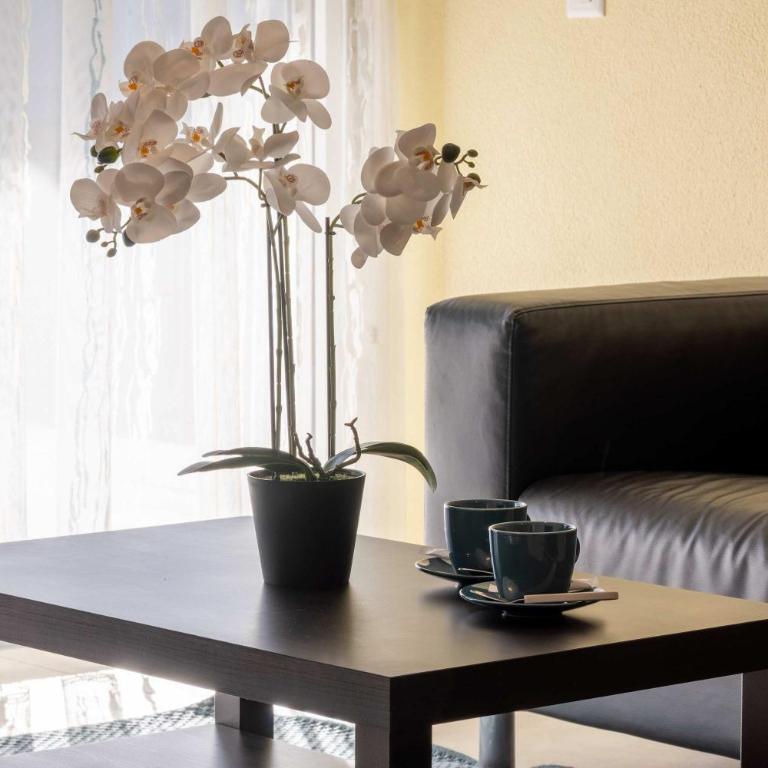 Interlaken Peak View - Apartment - 20