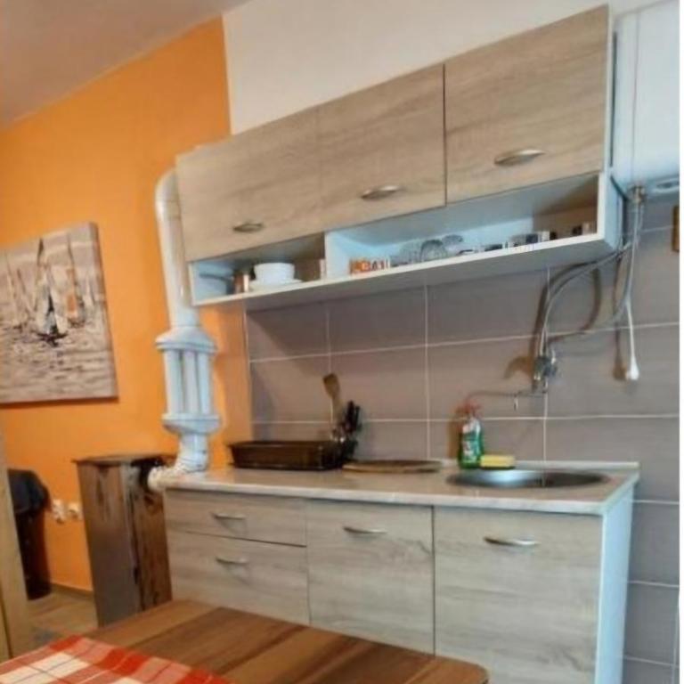 Nešić apartmani, Gornji Gajevi - One-Bedroom Apartment - 8