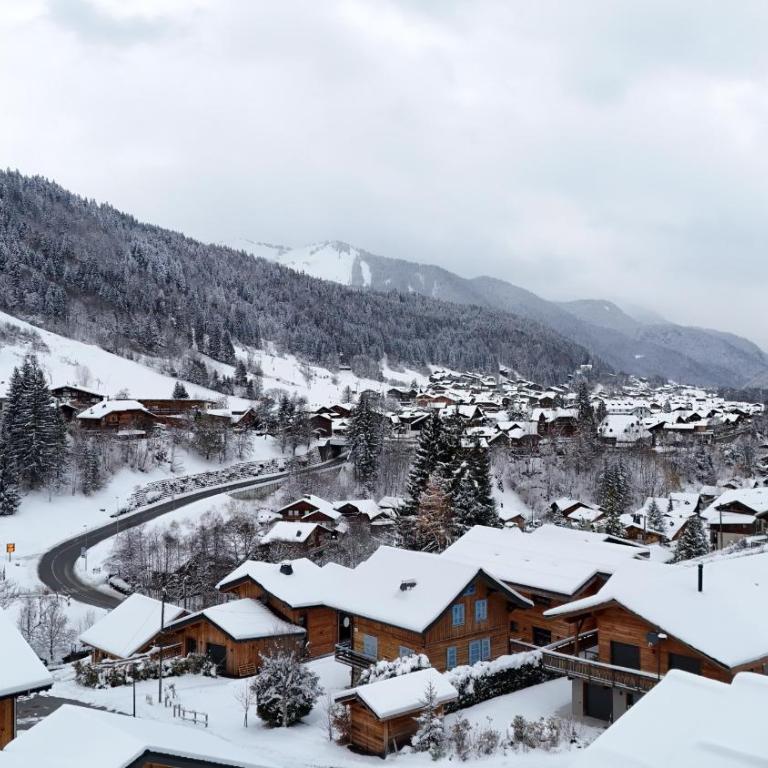 Chalet Alto - Morzine - Proche Centre - Chalet - 51