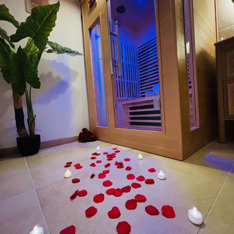 Suite Bali et sauna privé - vidéo projecteur - escapade romantique-centre - One-Bedroom Apartment - 12