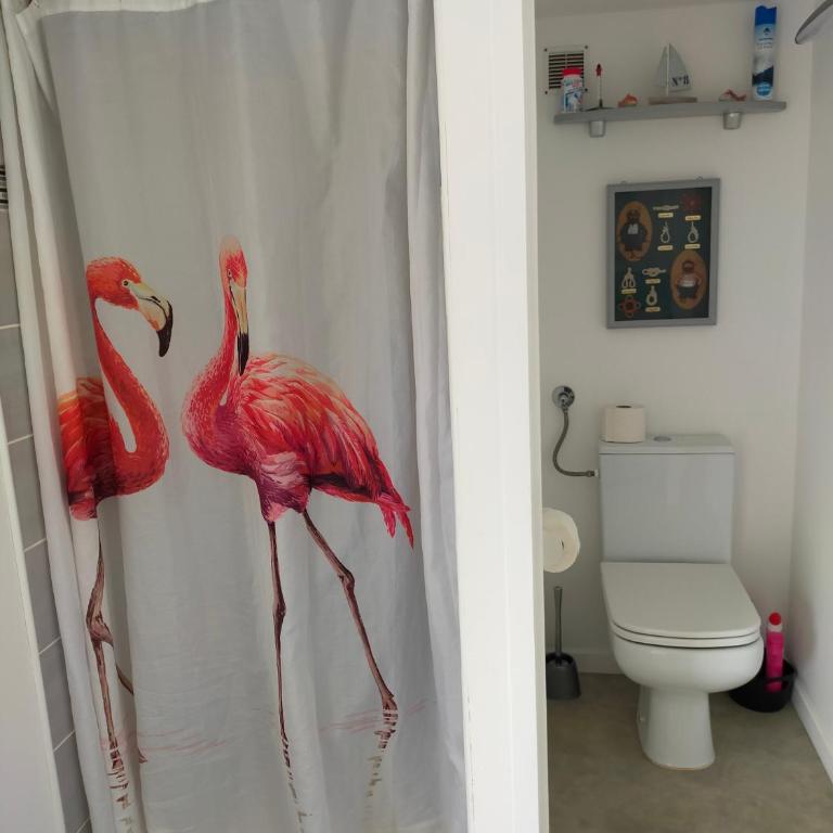 Arcachon,Gujan Mestras,Studio, jardin,Parking, clim - Maison 1 Chambre - 9