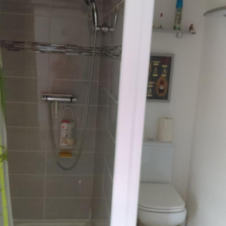 Arcachon,Gujan Mestras,Studio, jardin,Parking, clim - Maison 1 Chambre - 12