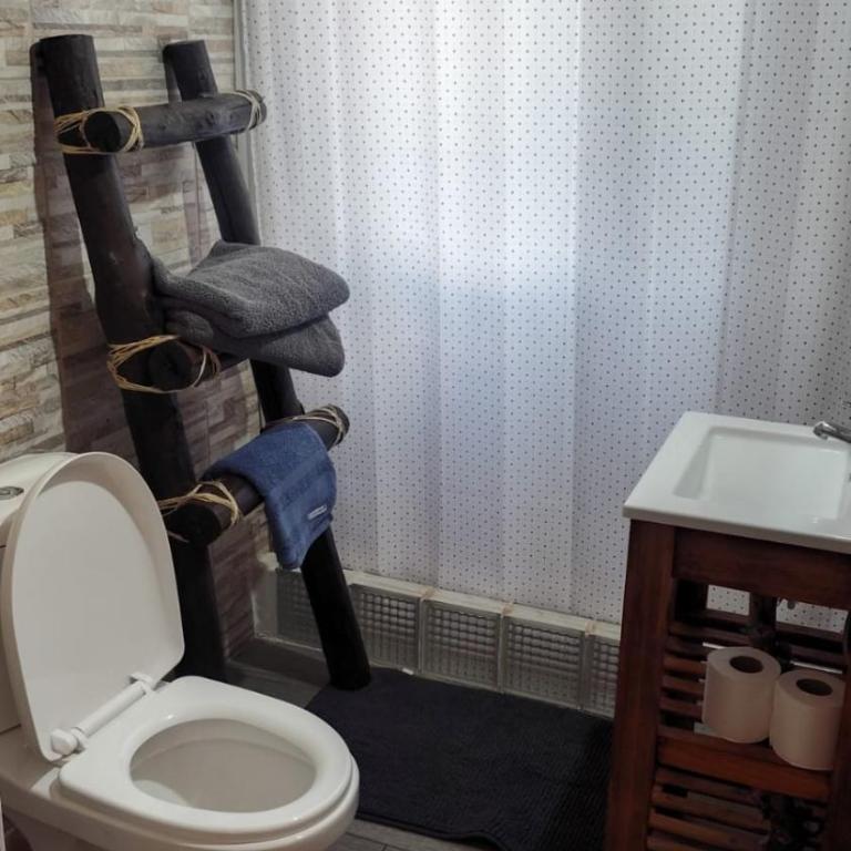 Cabaña Regivan en Uspallata - Two-Bedroom Apartment - 7