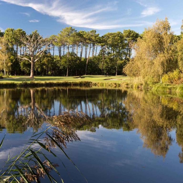 Villa 5 chambres Les écureuils du bassin golf à 900 m - Villa - 19