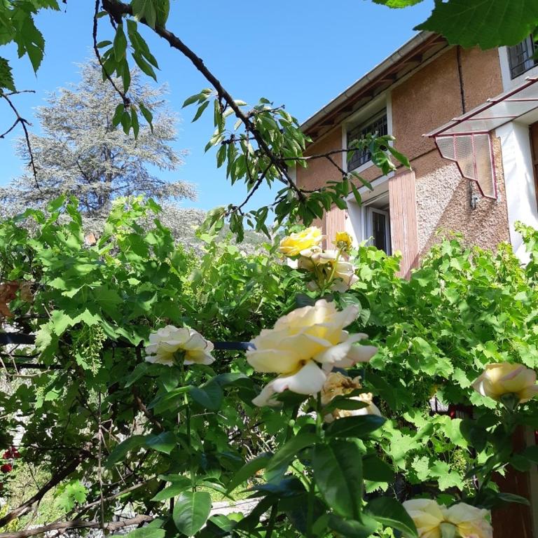 Beautiful apartment in Provençal residence with garden and WiFi - Appartement 2 Chambres - 2