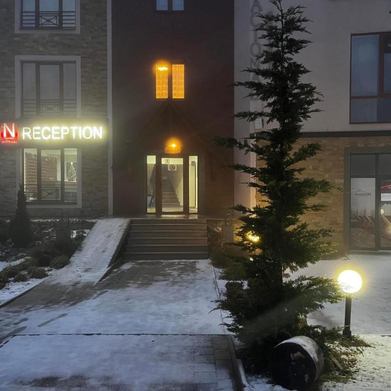 Kopaonik Milmari P50 - Apartment - 20