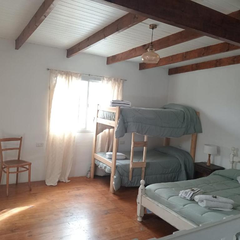 Departamento Nuevo Horizonte Pet Friendly - One-Bedroom Apartment with Terrace - 7