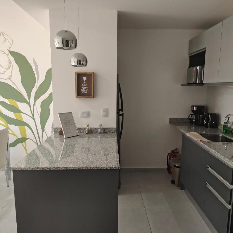 Arévalo - D2 - One-Bedroom Apartment - 7