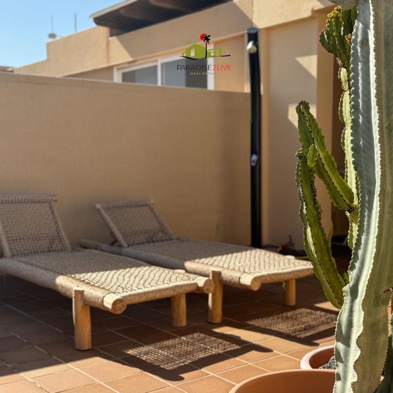 Ocean View - Apartamento de 1 dormitorio - 10