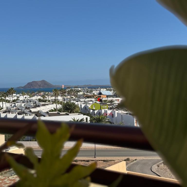 Ocean View - Apartamento de 1 dormitorio - 1