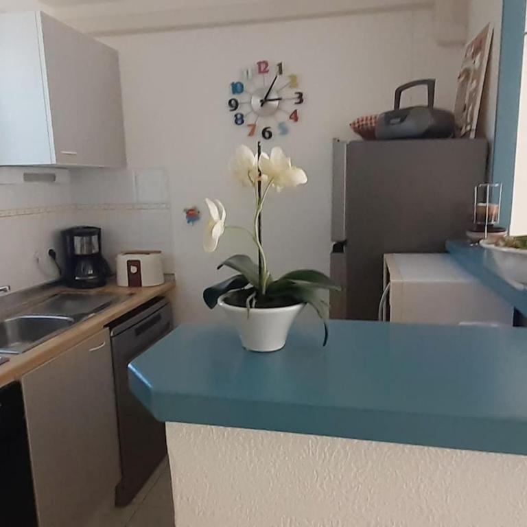 Pavillon avec piscine à deux pas de la plage - Two-Bedroom House - 16