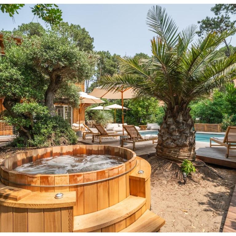 L'écrin du Ferret I Pool I Air conditioning I Spa I Beach Volley - Villa mit privatem Pool - 21