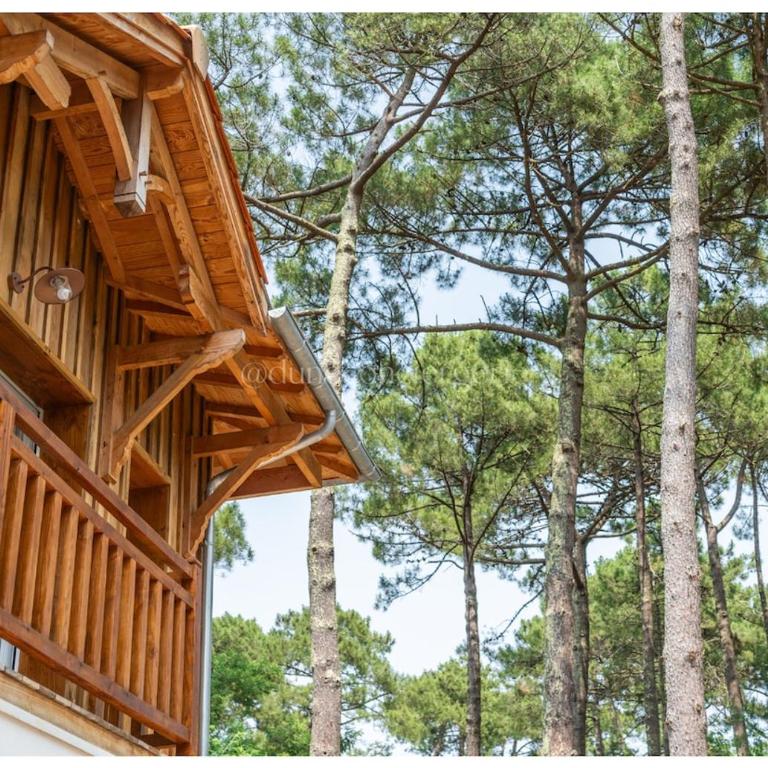 L'écrin du Ferret I Pool I Air conditioning I Spa I Beach Volley - Villa mit privatem Pool - 31
