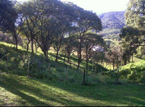 Casa de campo en Raco, vistas increíbles y pileta - Villa - 12