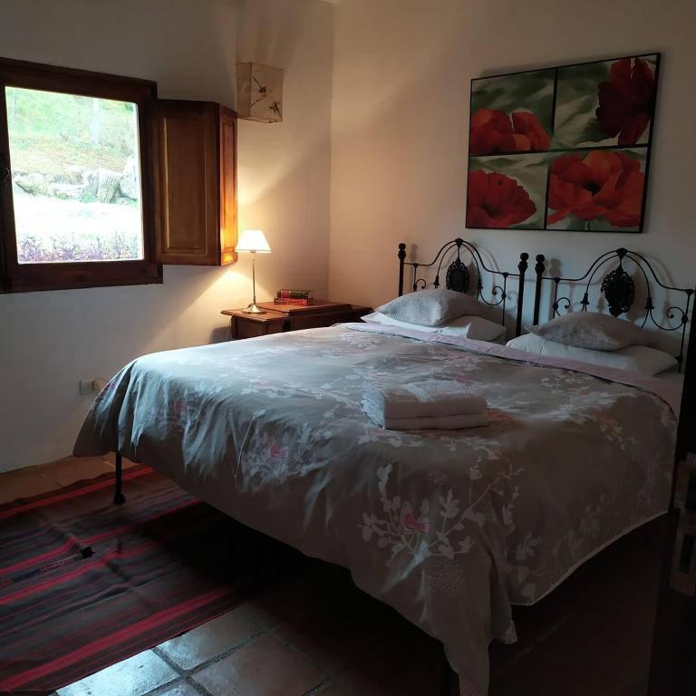 Casa de campo en Raco, vistas increíbles y pileta - Villa - 15