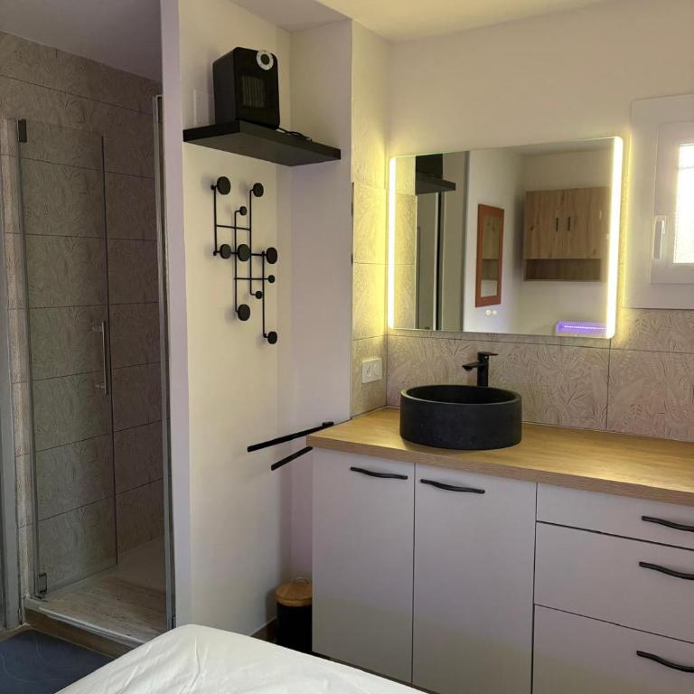 Appart en RDC avec grandre terrasse sur la Marina - Appartamento - 13