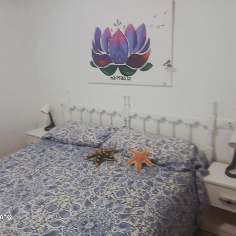 Casita Playa - Apartamento de 1 dormitorio - 17