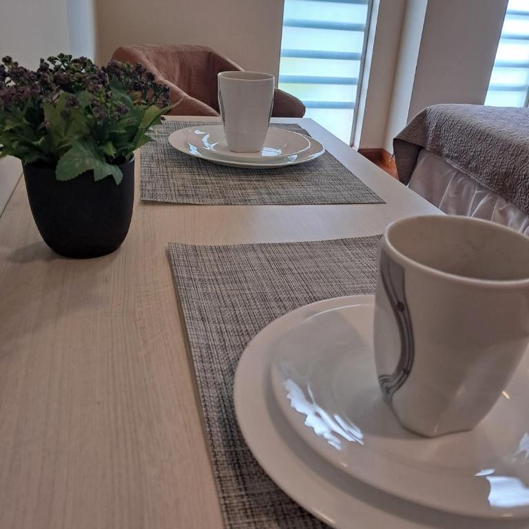 M1 - Monoambiente en zona céntrica - Apartamento de 1 dormitorio - 5