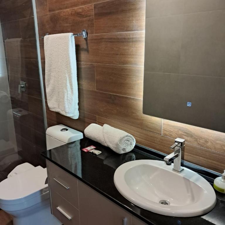 M2 - Amplio monoambiente en la zona norte - Apartamento de 1 dormitorio - 6