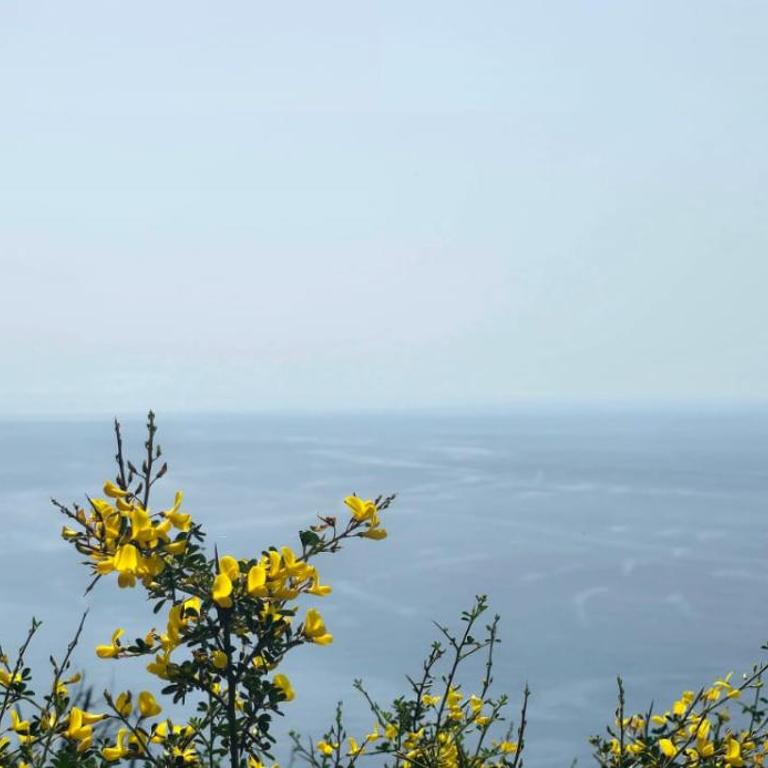 Cinque Terre Homes by Bluchalet - Superior Apartment mit Stadtblick - 5