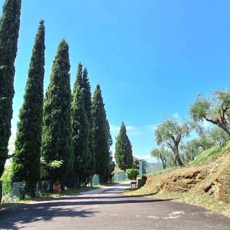Veranda, a dream villa, with big private pool close to the beach - Villa mit privatem Pool - 22
