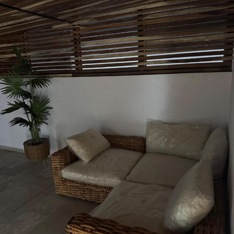 Hermoso PH en la mejor ubicación de playa del carmen - Apartamento de 1 dormitorio - 28