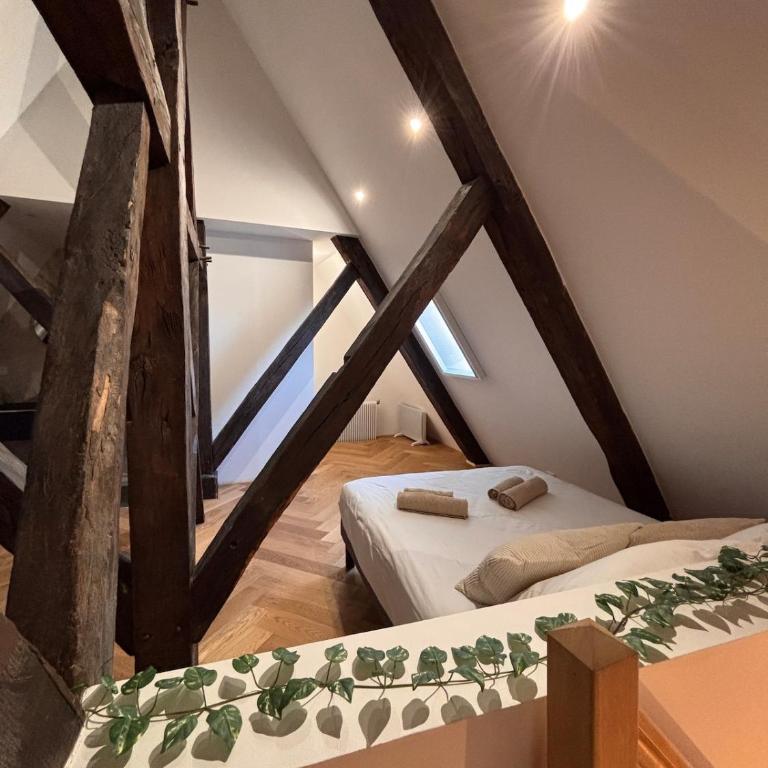 La Terrasse Bourguignonne - Vieux Dijon - Appartamento con 2 Camere da Letto - 6