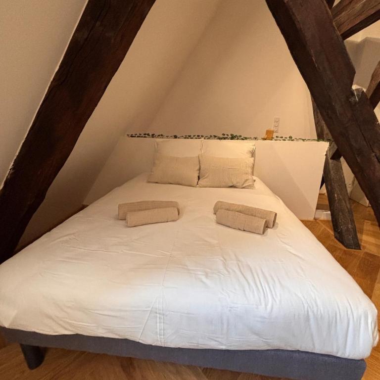 La Terrasse Bourguignonne - Vieux Dijon - Appartamento con 2 Camere da Letto - 12