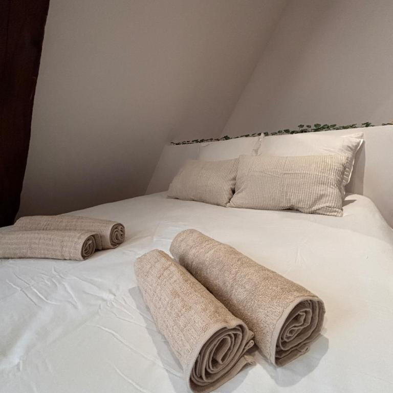 La Terrasse Bourguignonne - Vieux Dijon - Appartamento con 2 Camere da Letto - 13
