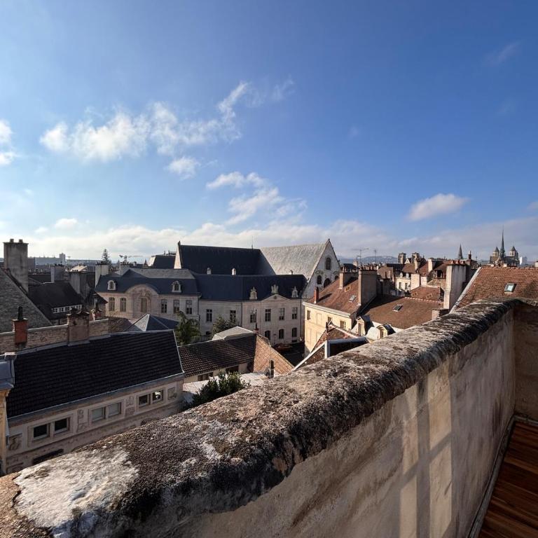 La Terrasse Bourguignonne - Vieux Dijon - Appartamento con 2 Camere da Letto - 30