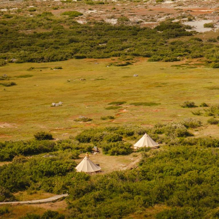Glamping el Bolsón - Tent - 1