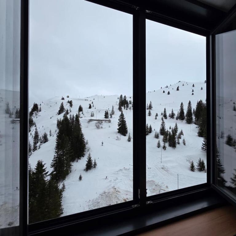 Horizont Aparthotel Jahorina - Two-Bedroom Apartment with Mountain View - 4