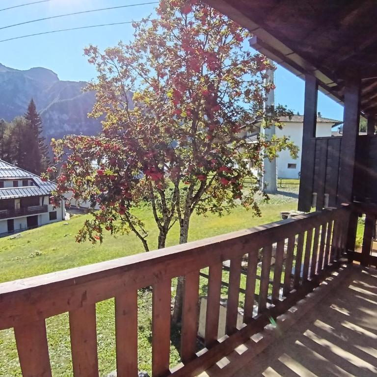 Ampio e comodo appartamento direttamente sulle piste a Folgarida - Appartamento con 4 Camere da Letto e Balcone - 21