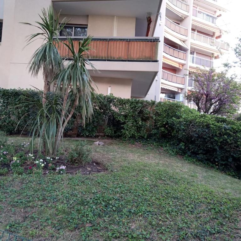 Studio Mandelieu-la-Napoule - Apartment mit 1 Schlafzimmer - 9