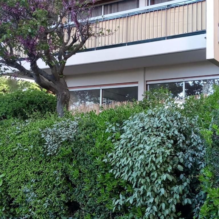 Studio Mandelieu-la-Napoule - Apartment mit 1 Schlafzimmer - 10