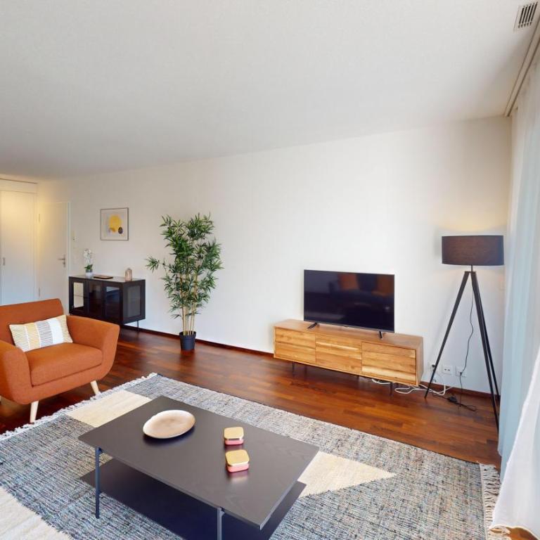 Relax and Recharge By The Lake! Modern Morges Apartments, AP26 - Apartment mit 2 Schlafzimmern - 25