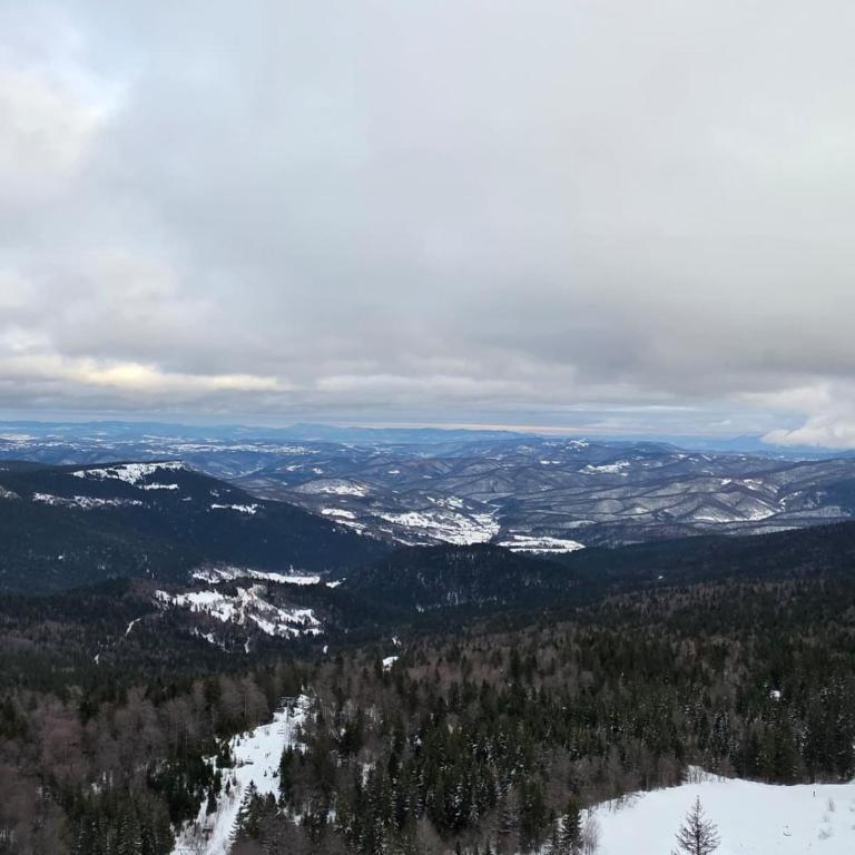 Horizont Aparthotel Jahorina - Double Room with Mountain View - 5