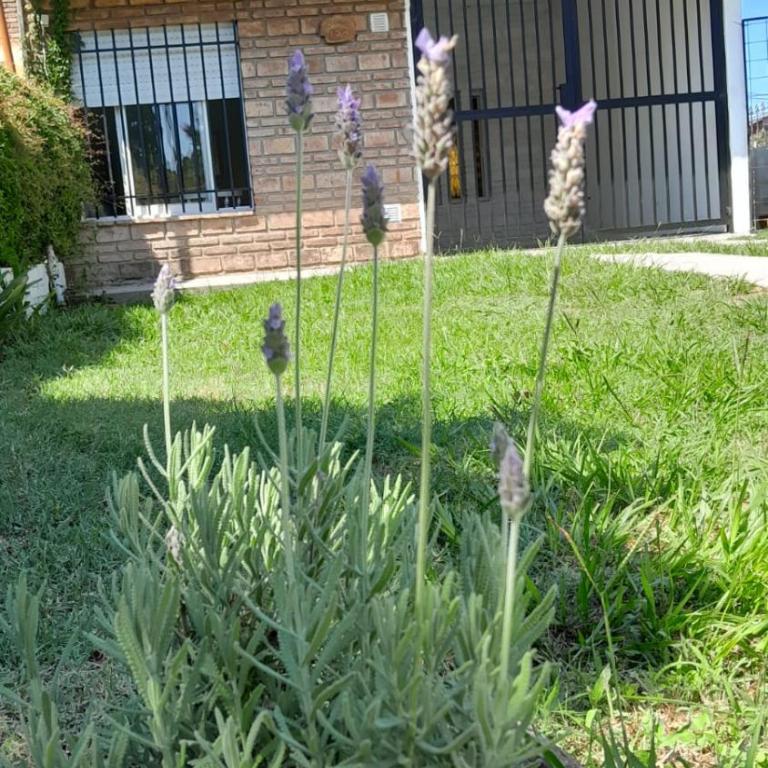 Chalet House - Villa Carlos Paz - Casa de 2 dormitorios - 14