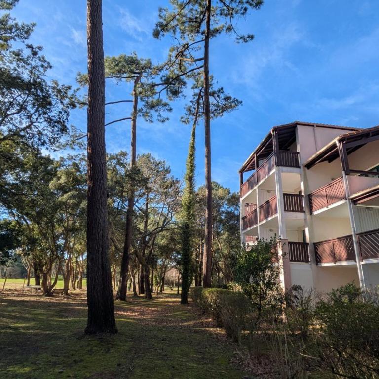 Cosy MO-MAÂ Golf, Océan et Plages - Appartement 1 Chambre avec Terrasse - 29