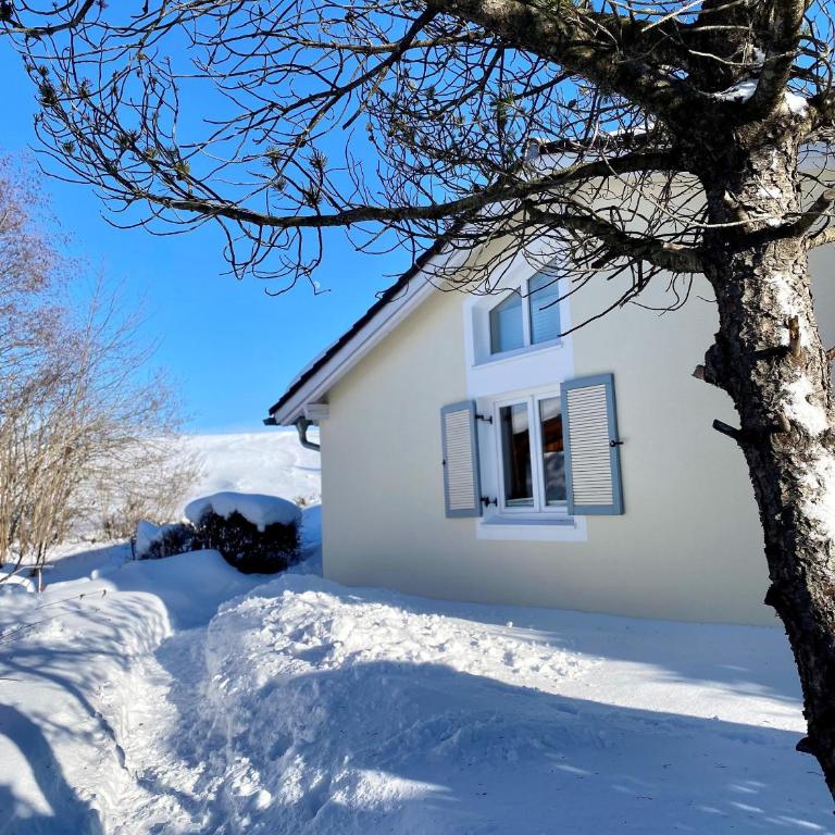 Ferienhaus mit Bergblick & sonniger Terrasse im Feriendorf Reichenbach - G26b - Haus mit 2 Schlafzimmern - 10